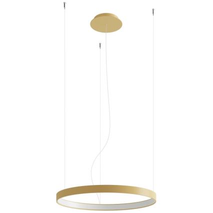 Thoro TH.216 - Lampadario LED a sospensione con filo RIO LED/30W/230V CRI90 3000K diametro 55 cm oro