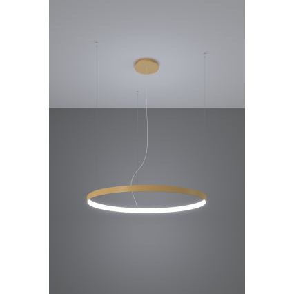 Thoro TH.217 - Lampadario LED a sospensione con filo RIO LED/30W/230V CRI95 4000K diametro 55 cm oro