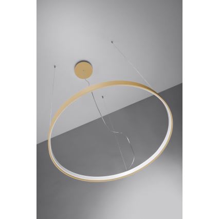 Thoro TH.217 - Lampadario LED a sospensione con filo RIO LED/30W/230V CRI 95 4000K diametro 55 cm oro