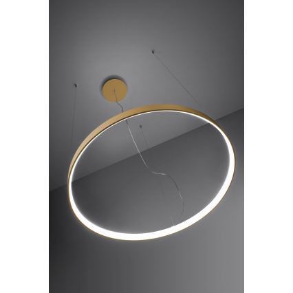 Thoro TH.217 - Lampadario LED a sospensione con filo RIO LED/30W/230V CRI95 4000K diametro 55 cm oro