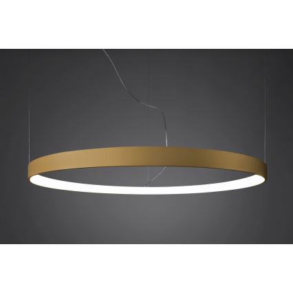 Thoro TH.217 - Lampadario LED a sospensione con filo RIO LED/30W/230V CRI95 4000K diametro 55 cm oro