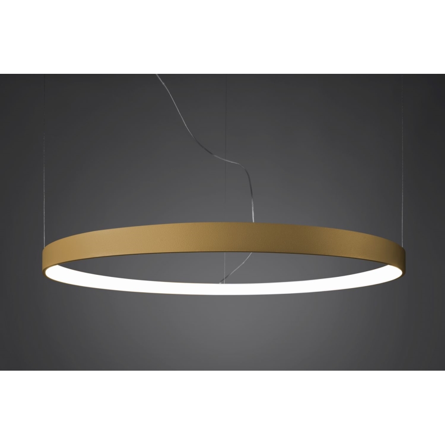 Thoro TH.217 - Lampadario LED a sospensione con filo RIO LED/30W/230V CRI 95 4000K diametro 55 cm oro