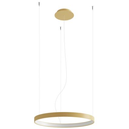 Thoro TH.217 - Lampadario LED a sospensione con filo RIO LED/30W/230V CRI95 4000K diametro 55 cm oro