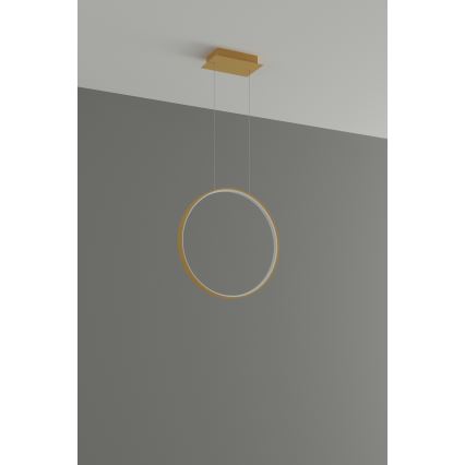 Thoro TH.221 - Lampadario LED a sospensione con filo RIO LED/30W/230V CRI 95 4000K diametro 55 cm oro
