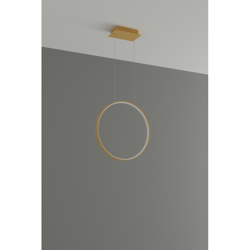 Thoro TH.221 - Lampadario LED a sospensione con filo RIO LED/30W/230V CRI 95 4000K diametro 55 cm oro
