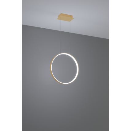 Thoro TH.221 - Lampadario LED a sospensione con filo RIO LED/30W/230V CRI95 4000K diametro 55 cm oro