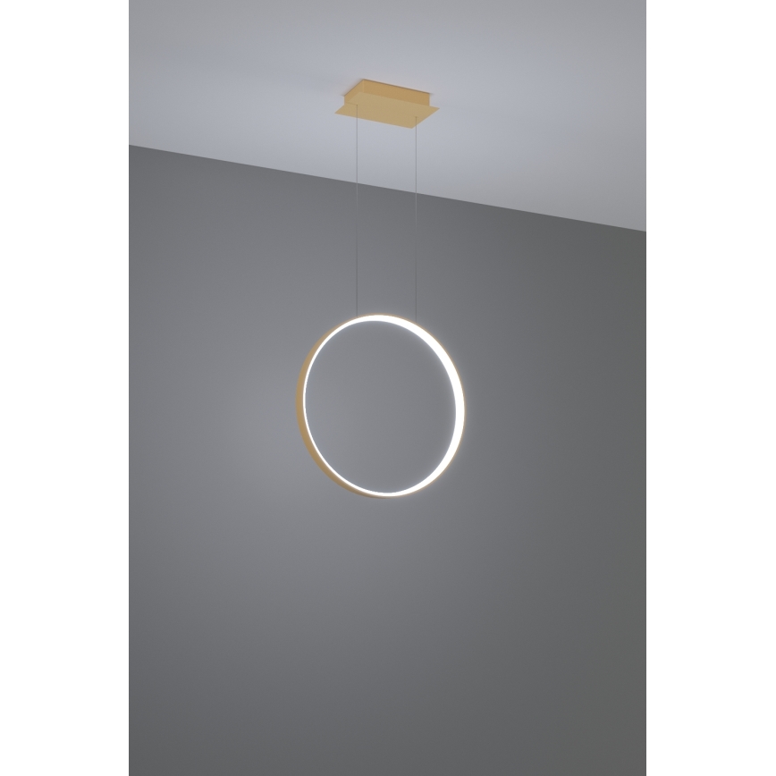Thoro TH.221 - Lampadario LED a sospensione con filo RIO LED/30W/230V CRI 95 4000K diametro 55 cm oro