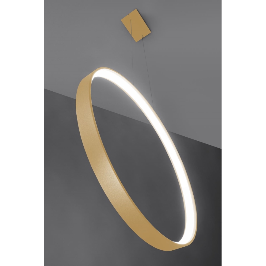 Thoro TH.221 - Lampadario LED a sospensione con filo RIO LED/30W/230V CRI 95 4000K diametro 55 cm oro