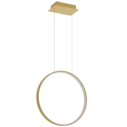 Thoro TH.221 - Lampadario LED a sospensione con filo RIO LED/30W/230V CRI 95 4000K diametro 55 cm oro