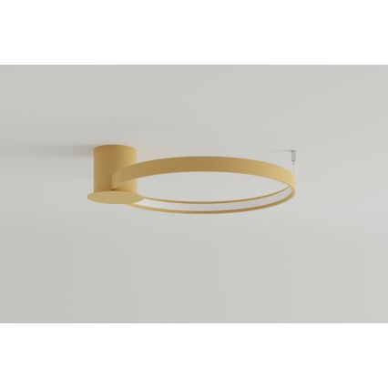 Thoro TH.222 - Plafoniera LED RIO LED/30W/230V CRI 90 3000K diametro 55 cm oro