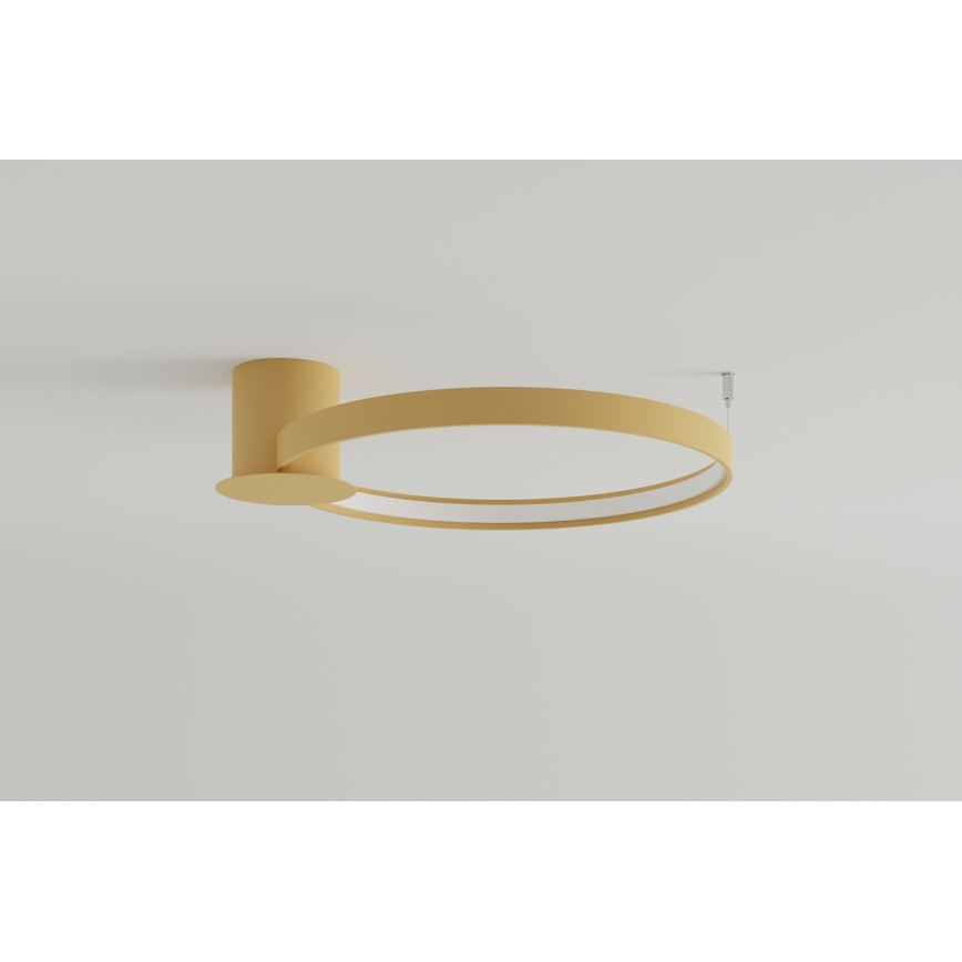 Thoro TH.223 - Plafoniera LED RIO LED/30W/230V CRI 95 4000K diametro 55 cm oro