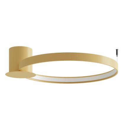 Thoro TH.223 - Plafoniera LED RIO, 30W/230V, CRI 98, 4000K, Ø 55 cm, finitura dorata