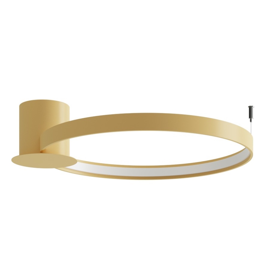 Thoro TH.223 - Plafoniera LED RIO, 30W/230V, CRI 98, 4000K, Ø 55 cm, finitura dorata