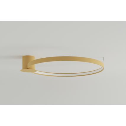 Thoro TH.224 - Plafoniera LED RIO LED/50W/230V CRI 90 3000K diametro 78 cm oro