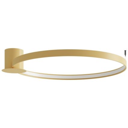 Thoro TH.224 - Plafoniera LED RIO LED/50W/230V CRI 90 3000K diametro 78 cm oro