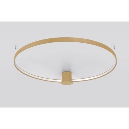 Thoro TH.224 - Plafoniera LED RIO LED/50W/230V CRI 90 3000K diametro 78 cm oro