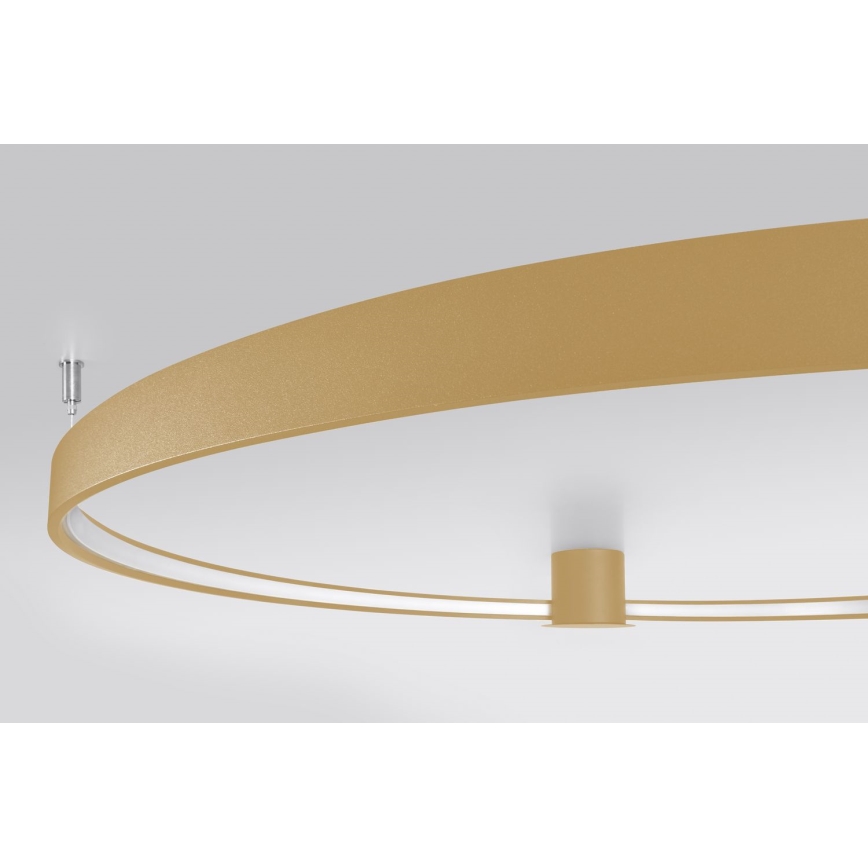 Thoro TH.224 - Plafoniera LED RIO LED/50W/230V CRI 90 3000K diametro 78 cm oro