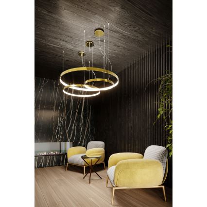 Thoro TH.246 - Lampadario LED a sospensione con filo RIO LED/50W/230V CRI 90 3000K diametro 78 cm oro