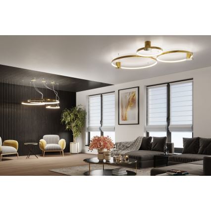 Thoro TH.246 - Lampadario LED a sospensione con filo RIO LED/50W/230V CRI 90 3000K diametro 78 cm oro