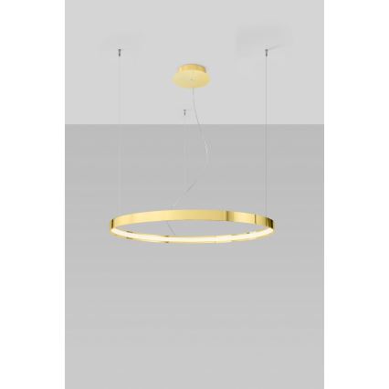 Thoro TH.246 - Lampadario LED a sospensione con filo RIO LED/50W/230V CRI 90 3000K diametro 78 cm oro