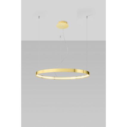 Thoro TH.246 - Lampadario LED a sospensione con filo RIO LED/50W/230V CRI90 3000K diametro 78 cm oro