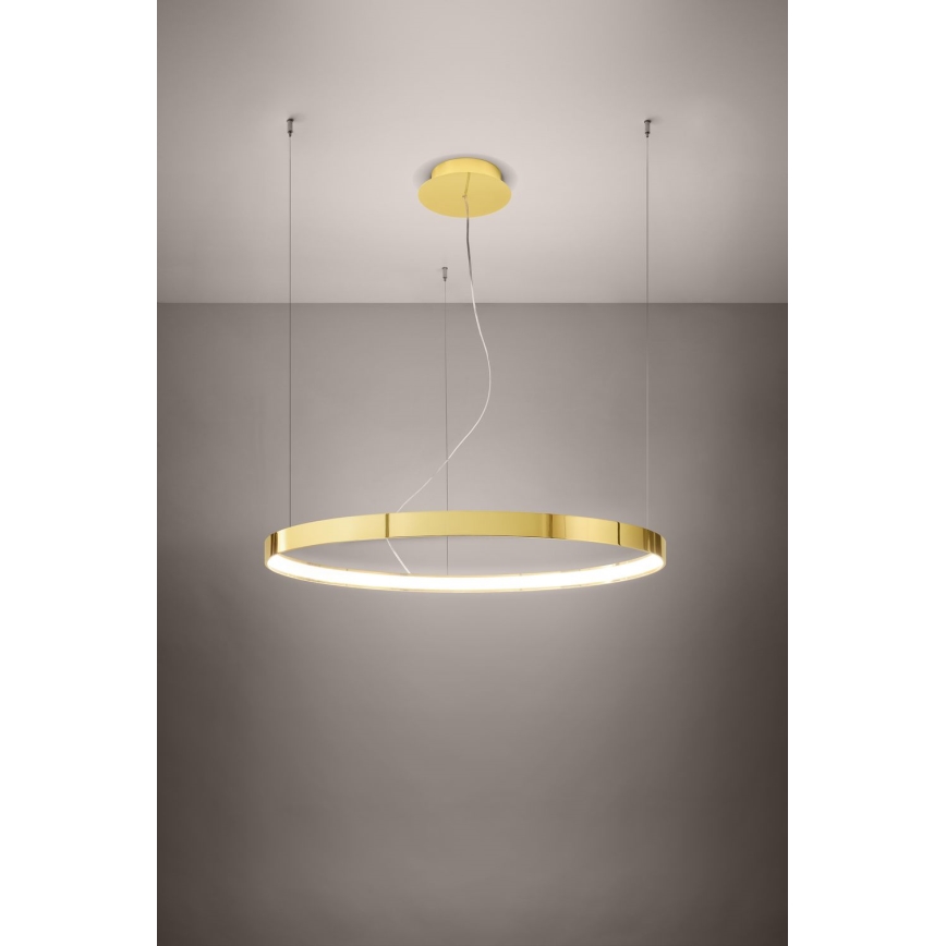 Thoro TH.246 - Lampadario LED a sospensione con filo RIO LED/50W/230V CRI 90 3000K diametro 78 cm oro