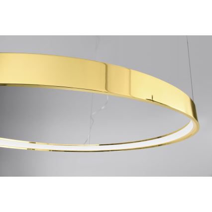 Thoro TH.246 - Lampadario LED a sospensione con filo RIO LED/50W/230V CRI 90 3000K diametro 78 cm oro