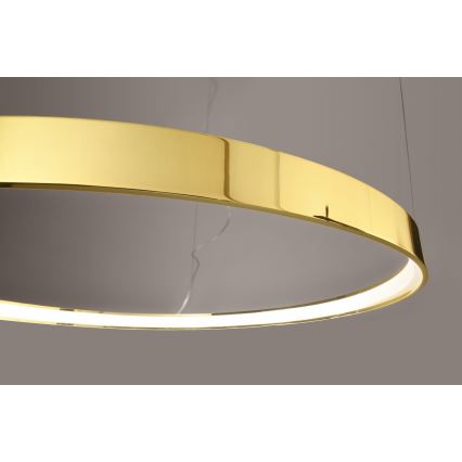 Thoro TH.246 - Lampadario LED a sospensione con filo RIO LED/50W/230V CRI 90 3000K diametro 78 cm oro