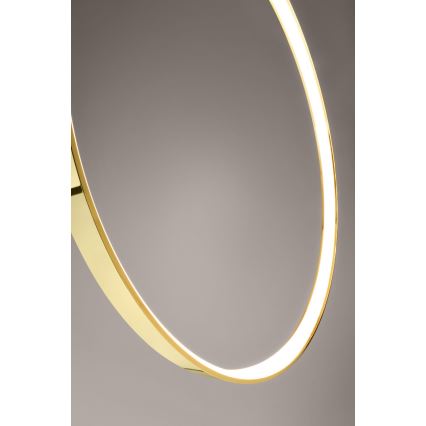 Thoro TH.248 - Lampadario LED a sospensione con filo RIO LED/50W/230V CRI90 3000K diametro 78 cm oro