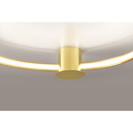 Thoro TH.252 - Plafoniera LED RIO LED/50W/230V CRI90 3000K diametro 78 cm oro