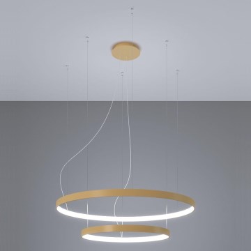 Thoro TH.268 - Lampadario a LED su cavo RIO LED/80W/230V CRI 95 4000K oro