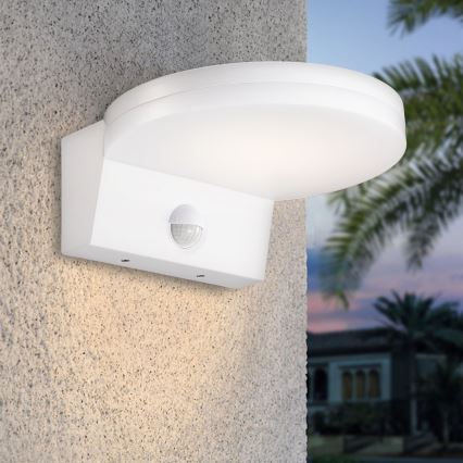 Top Lampada - LED Applique da esterno con sensore NOVARA LED/15W/230V IP65 bianco