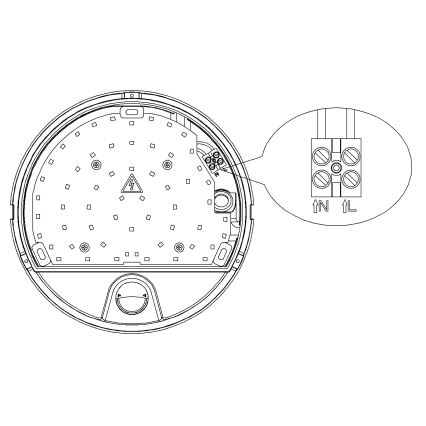 Top Light - Applique esterno a LED con sensore di movimento e crepuscolare BARI LED/15W/230V 4000K IP54