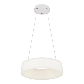 Top Light - Lampada a sospensione dimmerabile a LED HALO LED/40W/230V 3000-6500K diametro 44 cm + telecomando