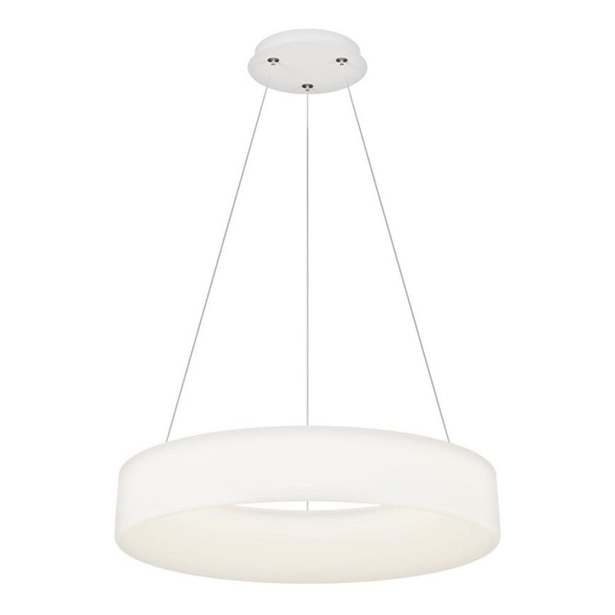 Top Light - Lampada a sospensione dimmerabile a LED HALO LED/60W/230V 3000-6500K Ø 60 cm + Telecomando