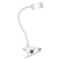 Top Light - Lampada da tavolo dimmerabile con LED e clip BELLA LED/4,8 W/5 V 3000-6500 K bianco