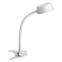 Top Light - Lampada LED da tavolo con clip LED/4,5W/230V bianca
