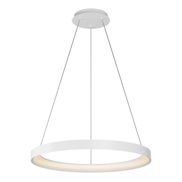 Top Light - Lampadario a sospensione con filo LED dimmerabile ORBIT LED/40W/230V 3000-6500K diametro 50 cm bianco + telecomando