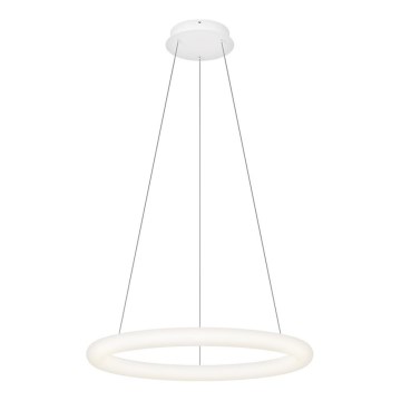 Top Light - Lampadario LED dimmerabile a sospensione con cavo RINGO LED/40W/230V 3000-6500K bianco + telecomando