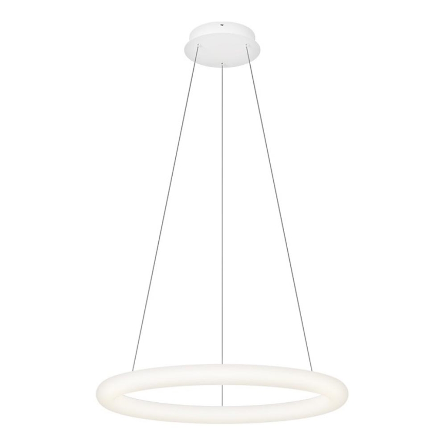 Top Light - Lampadario LED dimmerabile a sospensione con cavo RINGO LED/40W/230V 3000-6500K bianco + telecomando