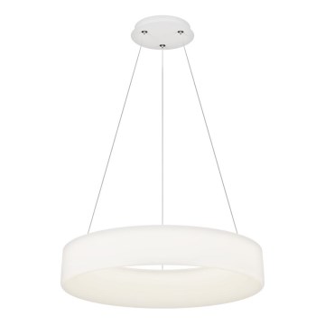 Top Light - LED Dimmable pendant lamp HALO LED/60W/230V 3000-6500K ø 60 cm + telecomando