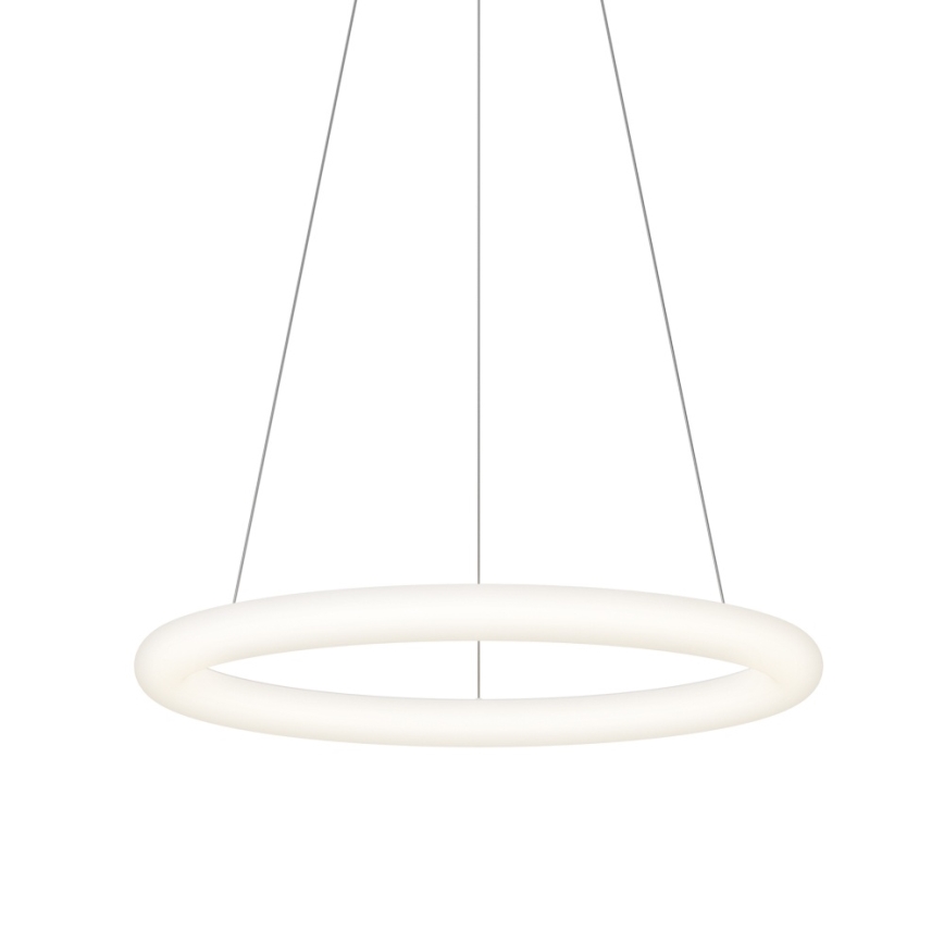 Top Light - Lampadario LED dimmerabile a sospensione con cavo RINGO LED/40W/230V 3000-6500K bianco + telecomando