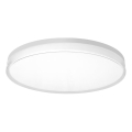 Top Light - LED plafoniera da bagno dimmerabile NEXUS LED/55W/230V 3000-6500K IP44 Ø 48 cm bianca + telecomando