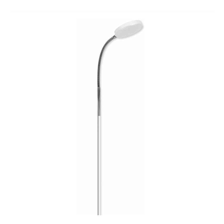 Top Light Lucy P B - Lampada da terra LUCY LED/5W/230V