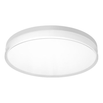 Top Light - Plafoniera da bagno a LED NEXUS LED/24W/230V 3000/4000/6500K IP44 Ø 28 cm bianco