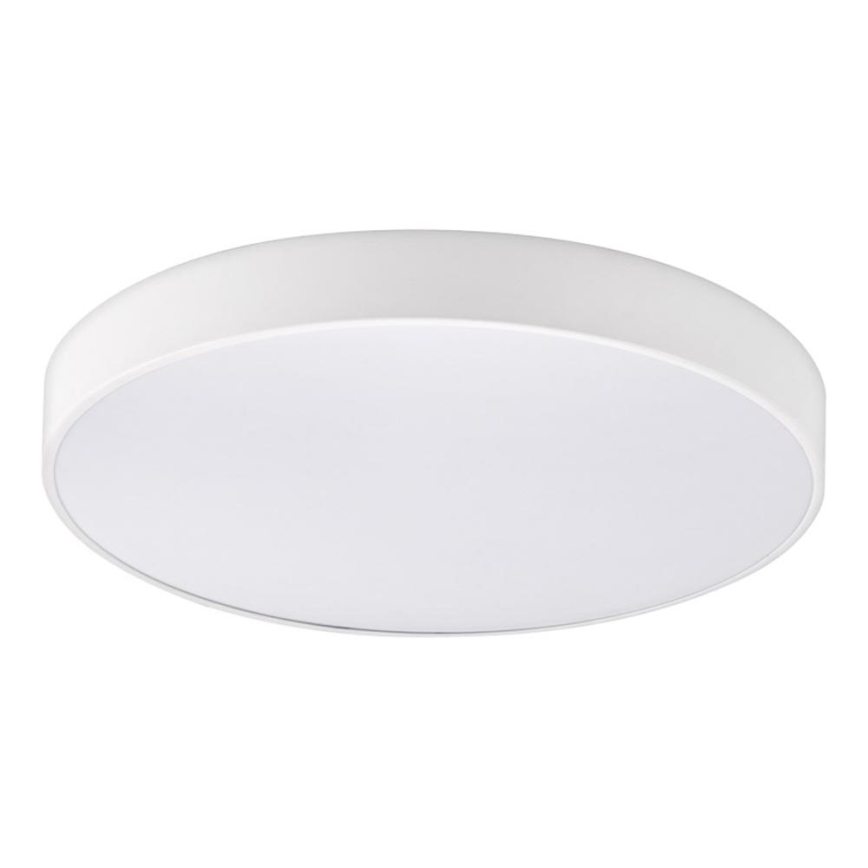Top Light - Plafoniera LED dimmerabile da bagno PETAL LED/48W/230V IP44 3000-6500K diametro 48 cm bianco + telecomando