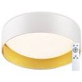 Top Light - Plafoniera LED dimmerabile LED/24W/230V + telecomando bianco