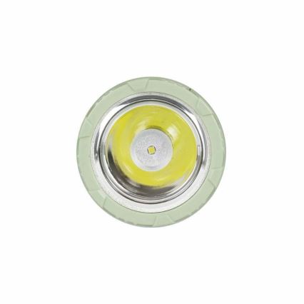 Torcia ricaricabile LED/1W/230V 330 lm 1000 mAh