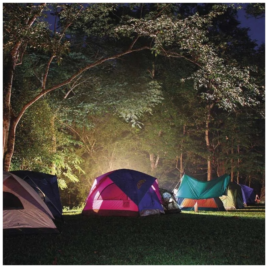 Torcia ricaricabile a LED/3,7V 4000 mAh