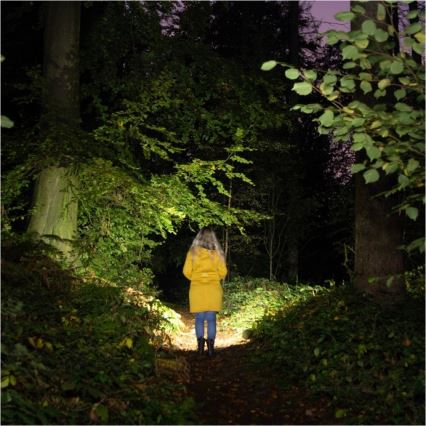 Torcia ricaricabile LED 2xLED/3W/5V 210 lm 1200 mAh nera